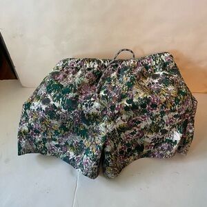 Northface youth Multicolor Athletic Shorts